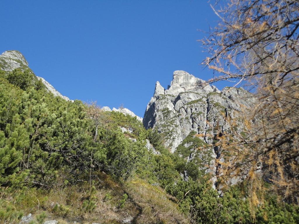 莱奥冈 Gasthof Brentwirt旅馆 外观 照片