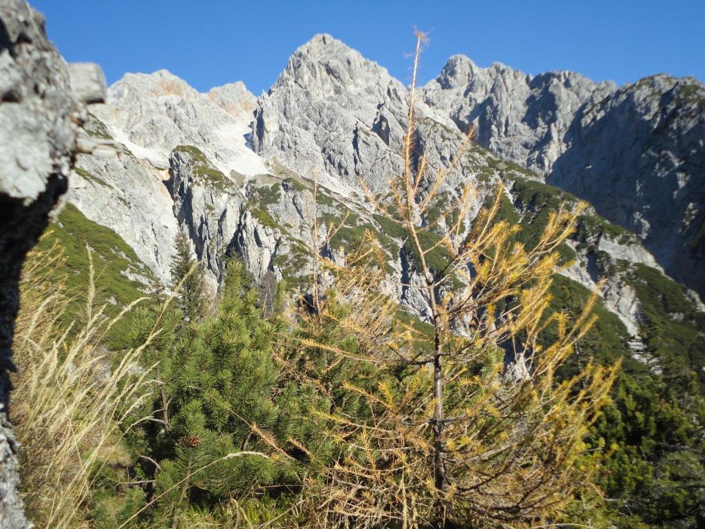 莱奥冈 Gasthof Brentwirt旅馆 外观 照片